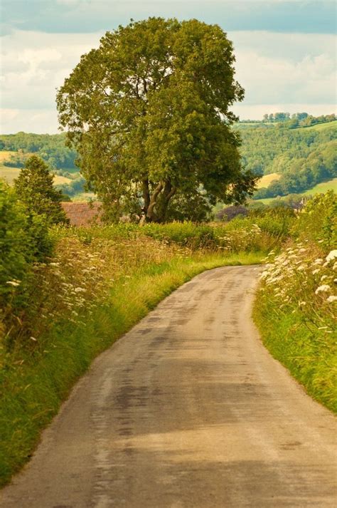 We provide commercial and residential lawn care. Country Lane | Landscape, Country roads, Landscape photography