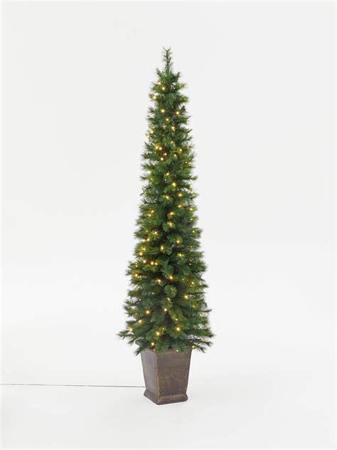 John Lewis And Partners Pencil Pine Potted Pre Lit Christmas Tree 7ft At