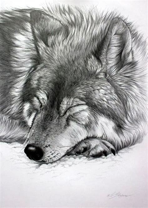We did not find results for: Pin by Kit M on PAINTING | Pencil drawings of animals, Realistic animal drawings, Realistic drawings