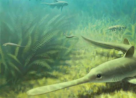 Ищете песни исполнителя tully monster? 'Tully monster' mystery is far from solved, group argues ...
