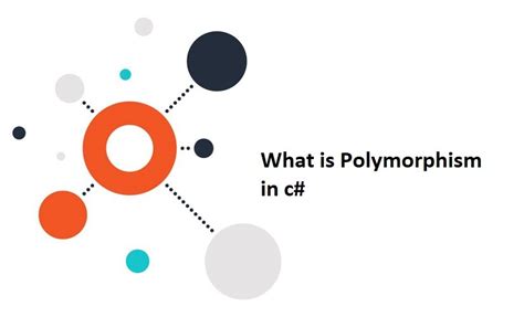 What Is Polymorphism In C Naveed Ul Haqs Blog