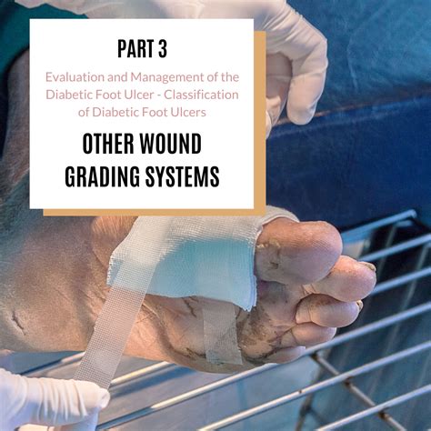 Part Evaluation And Management Of The Diabetic Foot Ulcer