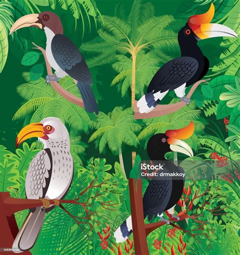 Burung Enggang Di Hutan Tropis Ilustrasi Stok Unduh Gambar Sekarang