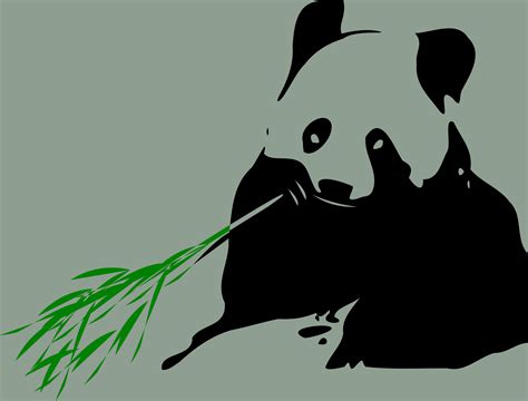 Adorable Panda Bear With Bamboo Branch