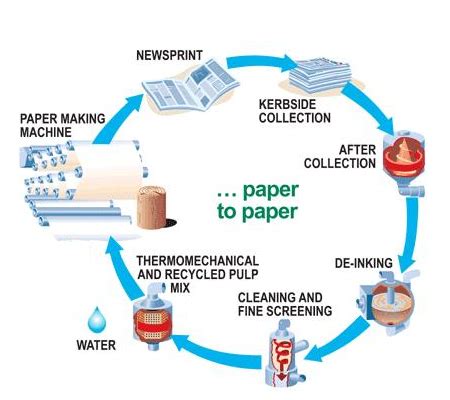 Paper recycling might seem like the sort of thing best left to the recycling experts, but did you know you can recycle your own paper at home without too much trouble? How does Recycling Work ? | guernseydonkey.com
