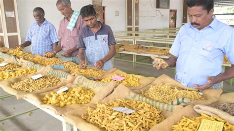 Manjal Maanagaram Is The Second Largest Turmeric Market In India