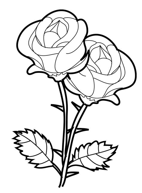 rosas y flores para dibujar dibujos colorear hermosas faciles imagenes images and photos finder
