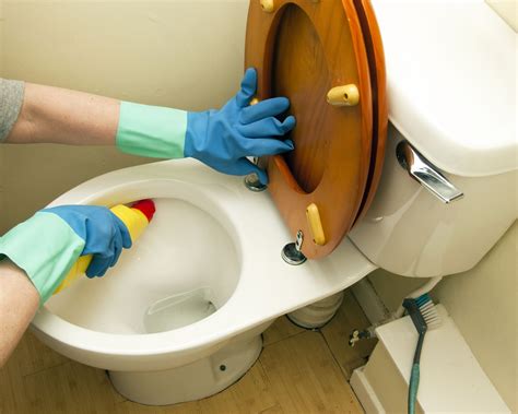 Your Toilet Bowl Will Take On A Whole New Shine With Our Easy Solutions Artofit