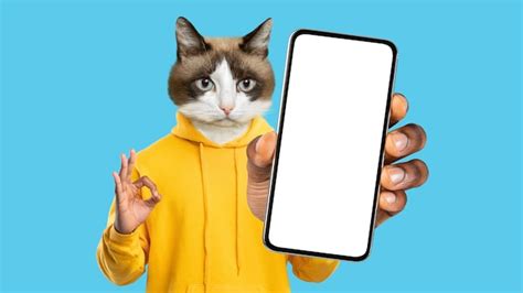 Premium Photo Cute Pussy Cat Showing Okay And Cell Phone Mockup