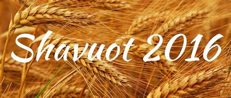 Shavuot The Feast Of Weeks Jewels Of Judaism