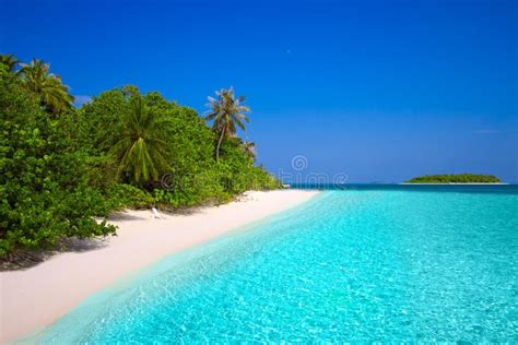 Tropical Island With Sandy Beach Palm Trees Overwater Bungalow Stock