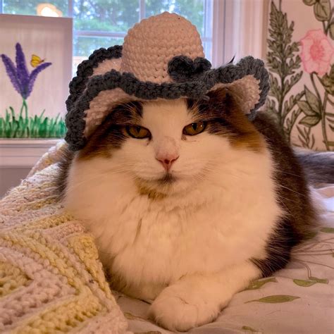 Crochet Cat Hat Sun Hat For Cats Cat Bucket Hat Cat Etsy Uk