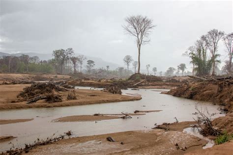 Devastating Laos Dam Collapse Leads To Deforestation Of Protected Forests