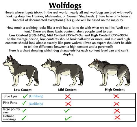 Wolveswolves Wolf Dog Animal Drawings Drawings