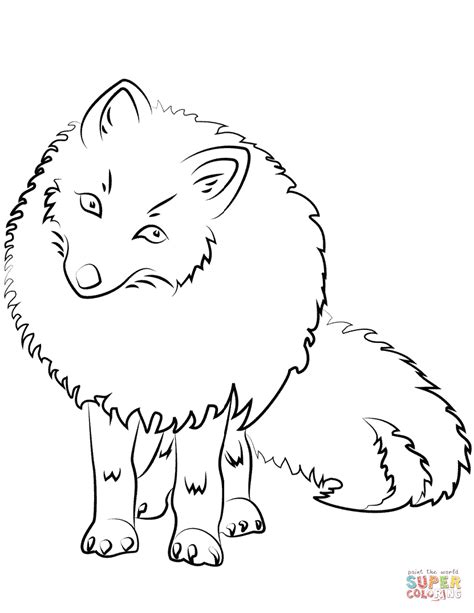 Arctic Fox Arctic Animals Coloring Pages Free Printable Zoo Coloring
