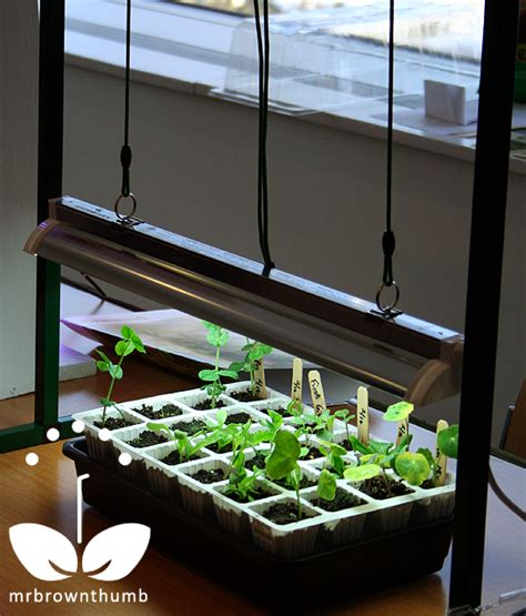 They are a wealth of information, including. Grow Lights for Indoor Seed Starting : MrBrownThumb