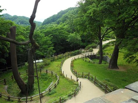 Parque De La Corea Del Sur Imagen De Archivo Imagen De Parque 124036153