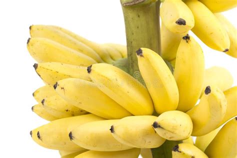 Banana Bunch Cluster Stock Photo Image Of Isolated Nature 38776552