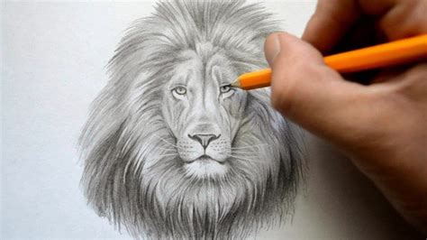 Drawing Pencil Art How To Draw Lion Head