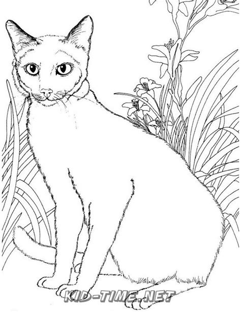 Realistic Cat Coloring Pages Printable Sketch Coloring Page