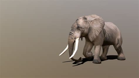Elephant Download Free 3d Model By Rukh3d 4ae1613 Sketchfab