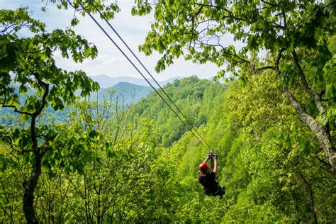 Zip Line Tours Navitat Canopy Tours And Adventures Near Asheville