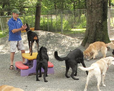 Compare reviews, photos, & availability w/ travelocity. About | Tarheel Total Pet Care