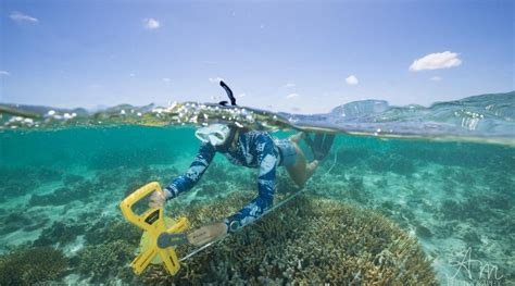 Declining Growth Rates Of Global Coral Reef Ecosystems Eurasia Review