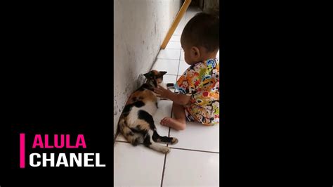 Berani Banget Nih Bocah Sama Kucing Youtube