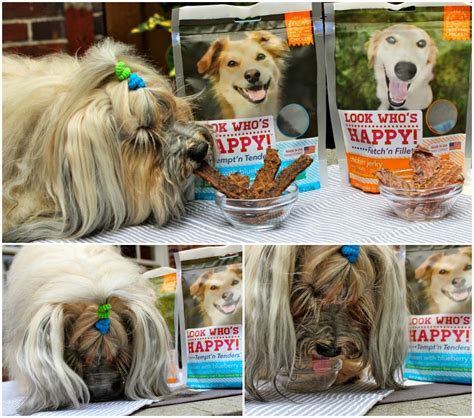 To Dog With Love Review Look Whos Happy Dog Treats