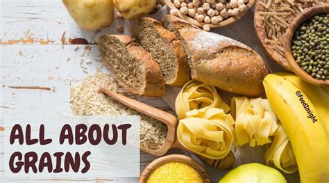 Everything You Need To Know About Grains Food Insight