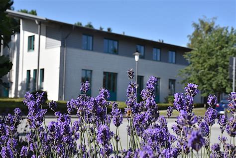Im haus der diakonie können zehn seniorinnen und senioren ein selbständiges, selbstbestimmtes leben führen. Haus der Diakonie - Diakonisches Werk Plön-Segeberg