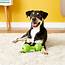 JW PET Chompion Dog Toy Color Varies Heavyweight  Chewycom