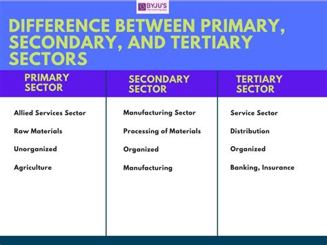 Difference Between Primary Secondary And Tertiary Sector With Their Comparisons