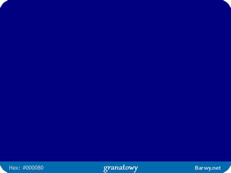 Kolor Rgb Hex 000080 Granatowy Navy