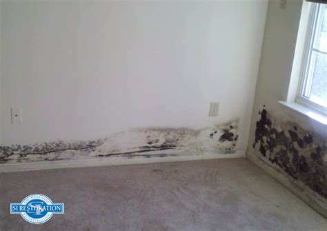 Rubbing it or spraying air against it can cause the mold spores to break off into the air, potentially causing illnesses. how to test for black mold in 5 minutes. Does vinegar kill mold on drywall?