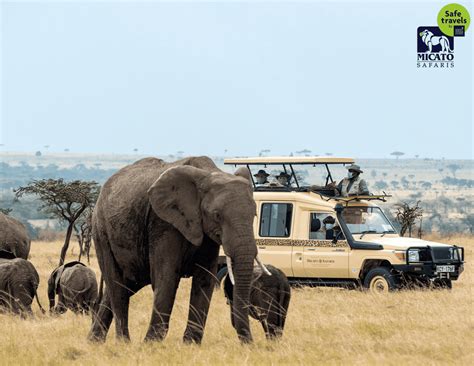 Luxury African Safaris Award Winning Micato Safaris