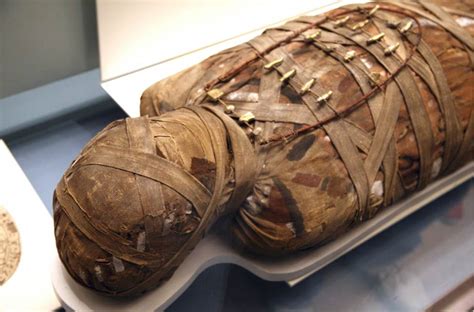 Ancient Egyptian Mummy Head Shows Woman Had Skin Condition Due To