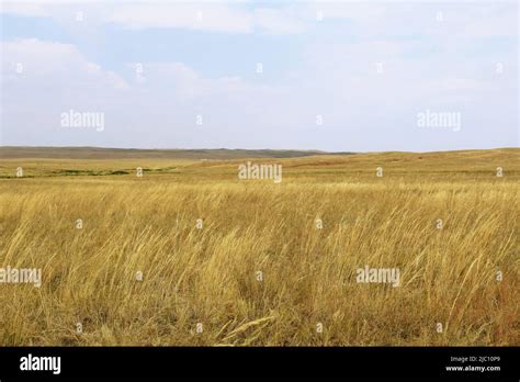 Steppe With Hills And Yellow Grass Against The Sky Hi Res Stock