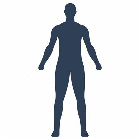 Anatomy Human Body Man Patient User Icon Download On Iconfinder