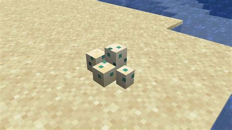 How Long Do Turtle Eggs Take To Hatch In Minecraft