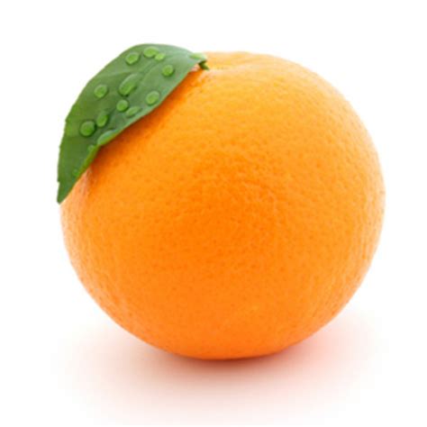 Orange Fruit Orange Photo 34512935 Fanpop