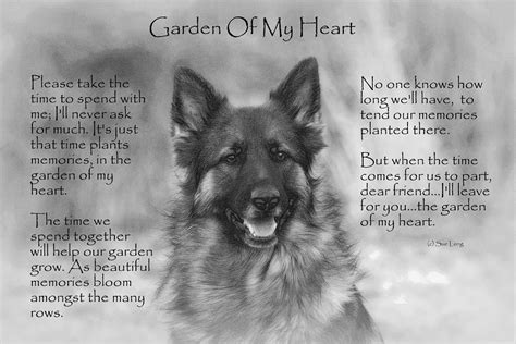 Wolf, he says without any trace of doubt. Garden Of My Heart by Sue Long | Dog poems, Pet poems ...