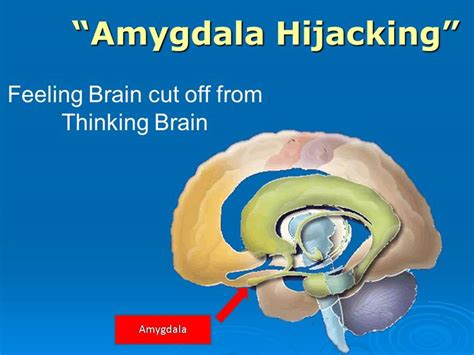 Emotional Amygdala Hijack