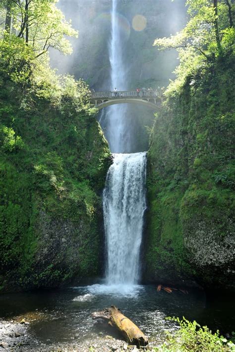 Columbia Gorge Waterfalls And Wine Tasting Tour The