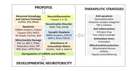 Propofol Induced Developmental Neurotoxicity From Mechanisms To