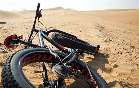 10 Reasons To Take A Desert Fat Bike Ride Desert Safari