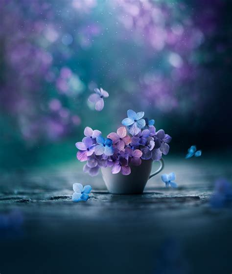 Magical Flowers Wallpapers Wallpaper Cave