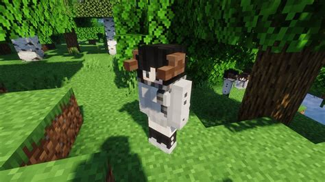 Player Mob Models Resource Pack 1 18 1 1 16 5 Texture Pack Mc