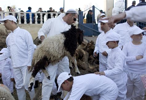 Members Of The Samaritan Sect In Israel Skewer Sheep For The